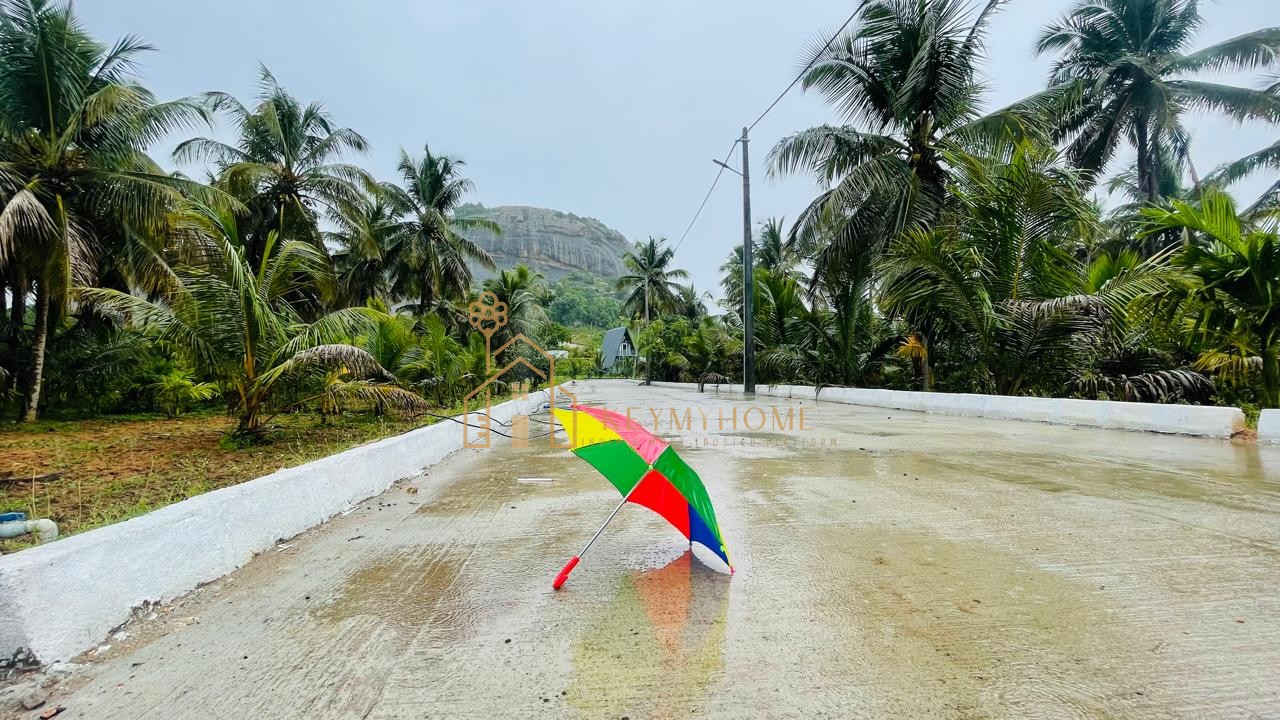 mountains and mangoes farm