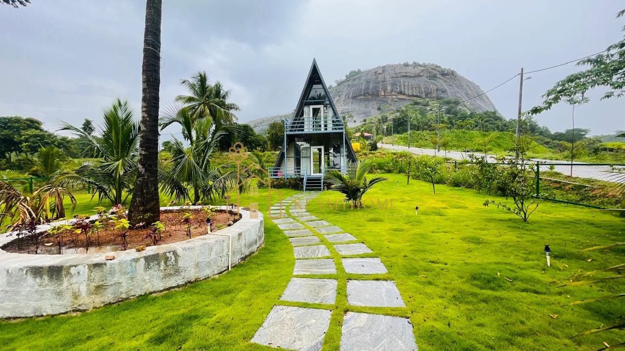mountains and mangoes farm