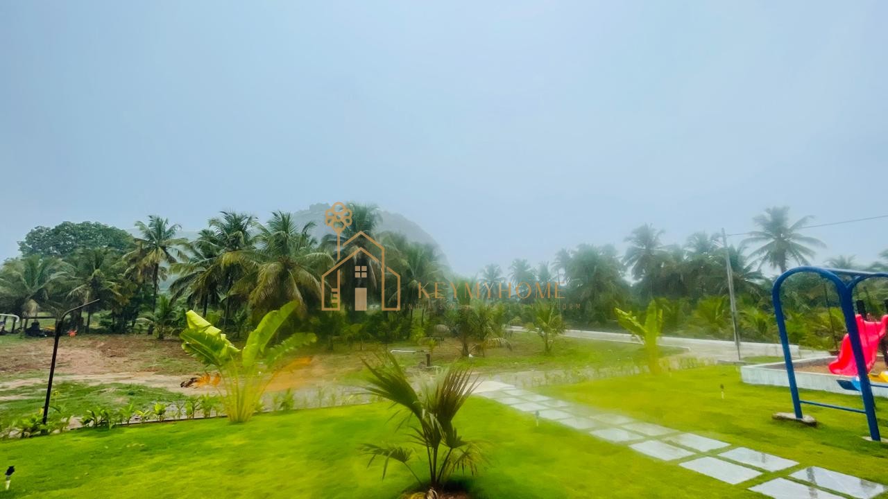 mountains and mangoes farm
