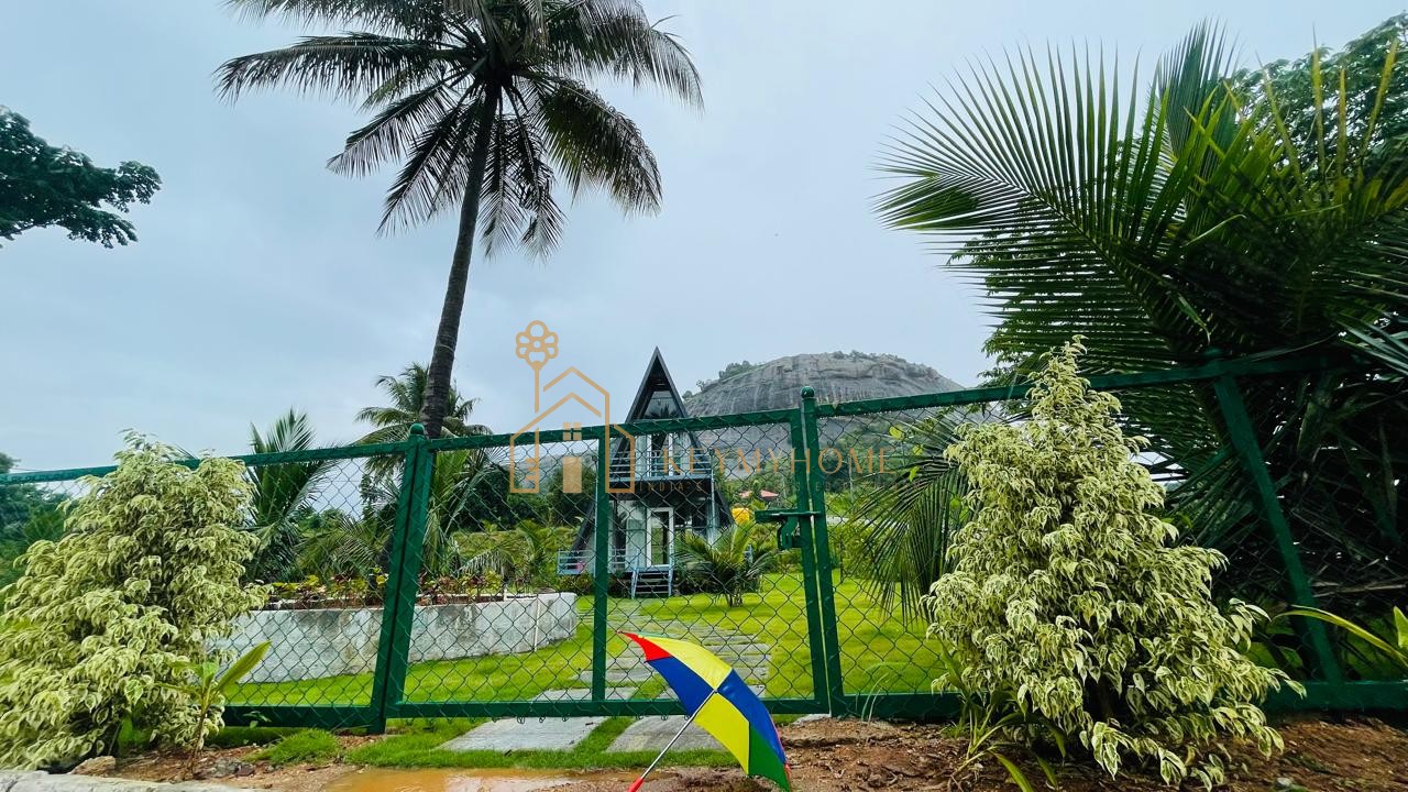 mountains and mangoes farm