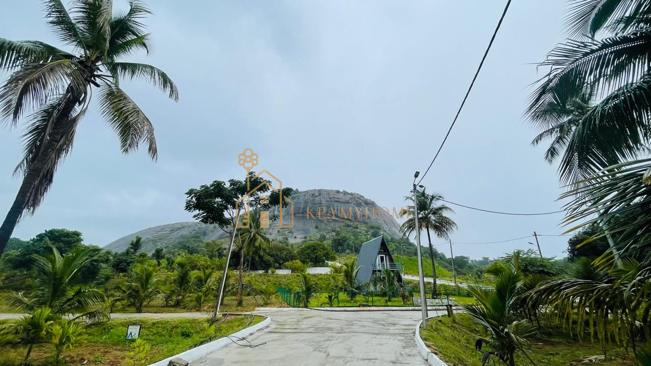 mountains and mangoes farm