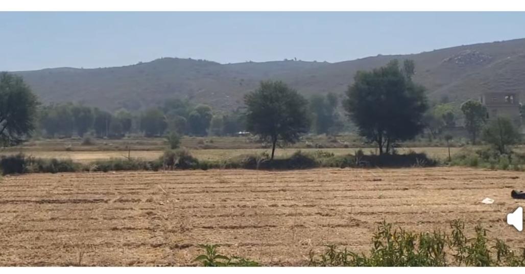 On-Road 14 Bigha Agricultural Land for Sale Near Jidoli Ghati, Alwar