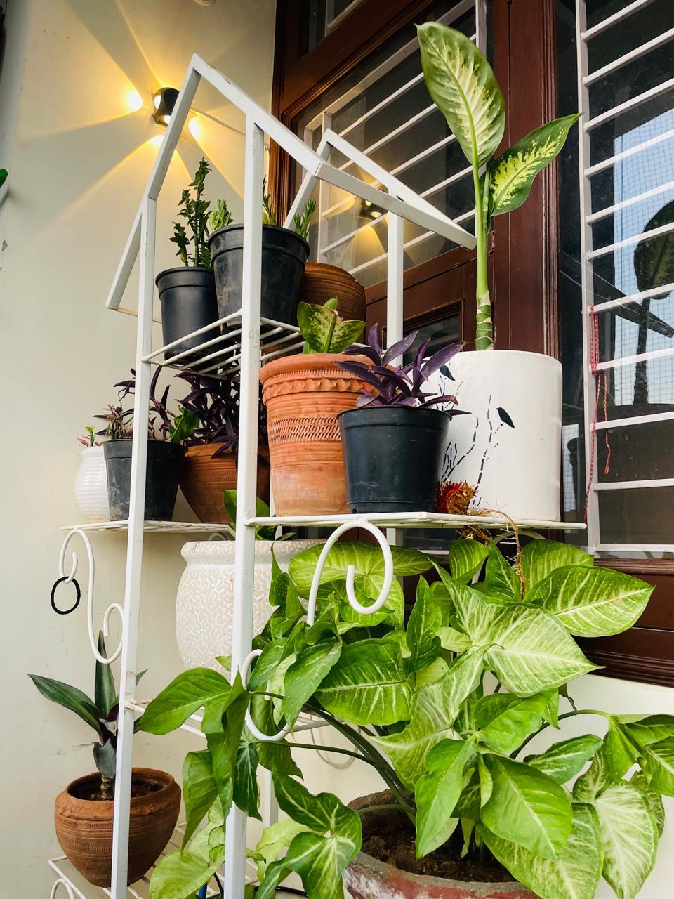 3BHK Fully Furnished Flat for Rent – Prime Location