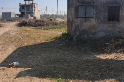 Plot for Sale in Vigyan Nagar, Alwar – UIT Scheme 170.08 sq.yd(D-Block)