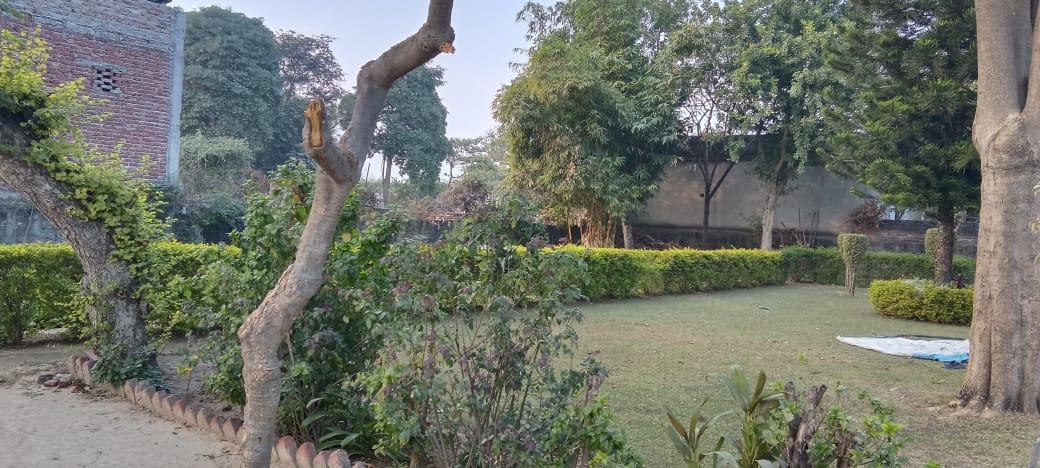 Farmhouse Plot for Sale in Anangpur, Faridabad