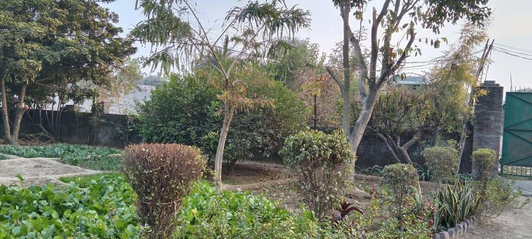 Farmhouse Plot for Sale in Anangpur, Faridabad