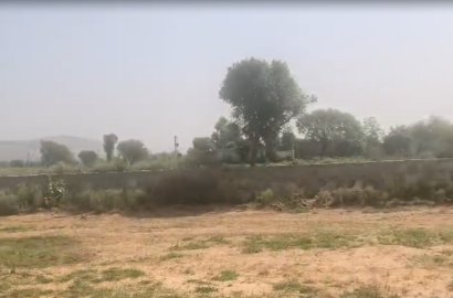 2200 Sq. Yard Agriculture Land for Sale Near Paniyala Highway, Alwar-Bhiwadi Road