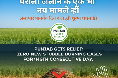 पंजाब में राहत: पराली जलाने के एक भी नए मामले नहीं, लगातार पांचवें दिन दर्ज हुई शून्य घटनाएं